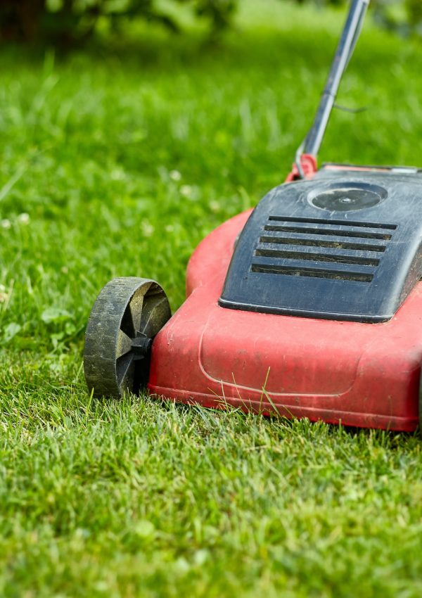 unrecognizable Woman mows the lawn with a lawn mower grass at home garden, gardener woman working